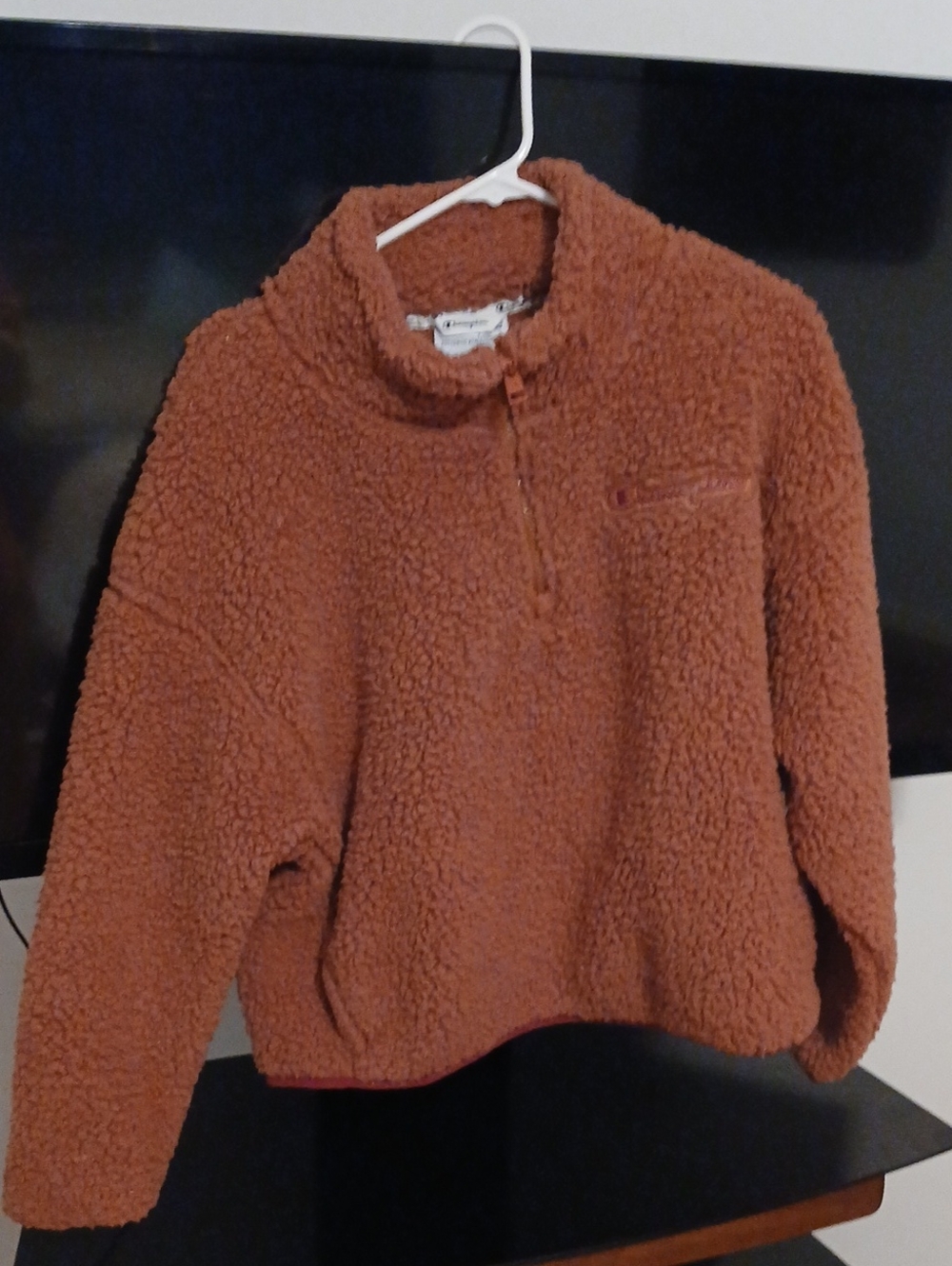 Champion Cozy Sherpa Half-Zip Pullover Sweater Size Large. Fits Like A Medium